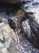 tennudden_23