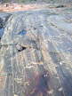 tennudden_29