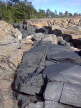 tennudden_30