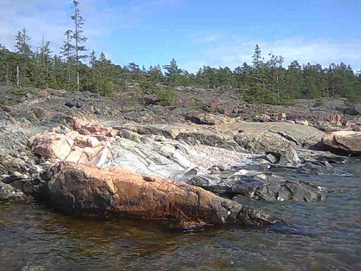 tennudden_41